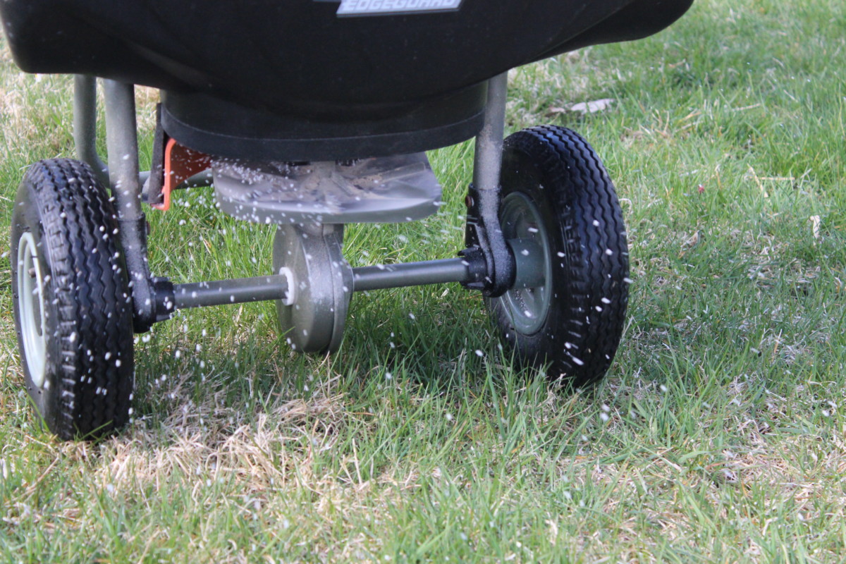 fertilizing lawn