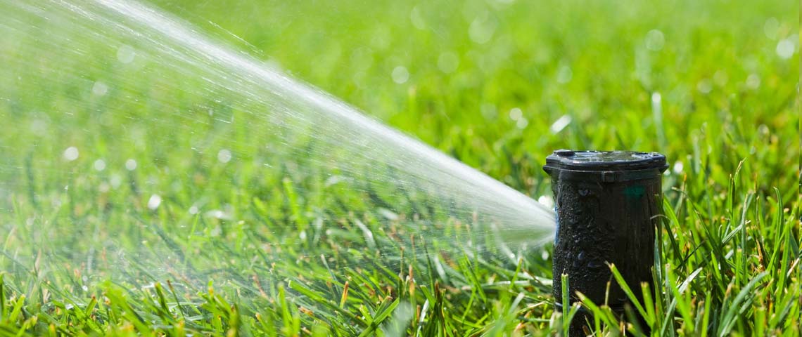 Water your lawn